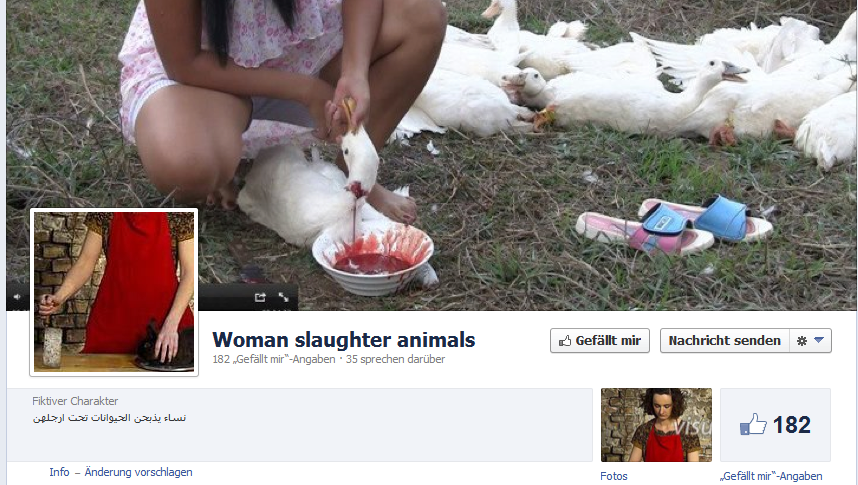 Leiden bis zum Tod. Tierschicksale.. Blutgeile, grausame Weiber