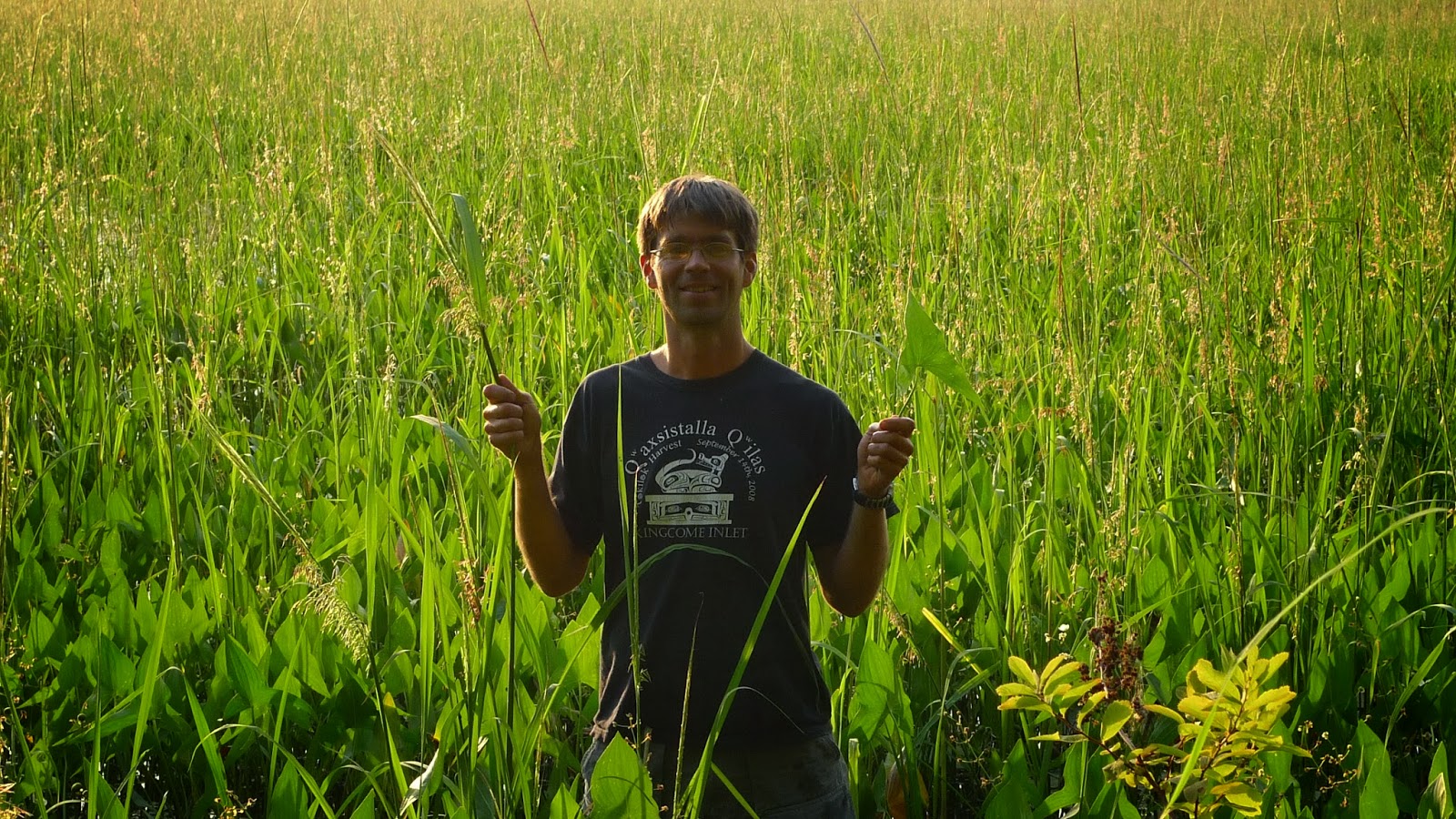 Wild Harvests Wild Rice Cascadian Style