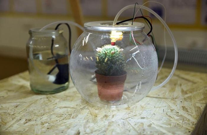 Self Water Plant Pot