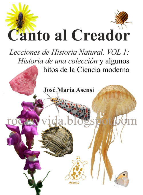 Canto al Creador