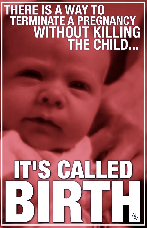 Poster: Safe Termination of Pregnancy -- Birth. Abortion. Pro-Life