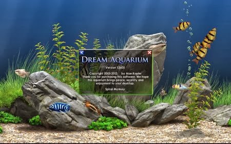 dream aquarium keygen serial