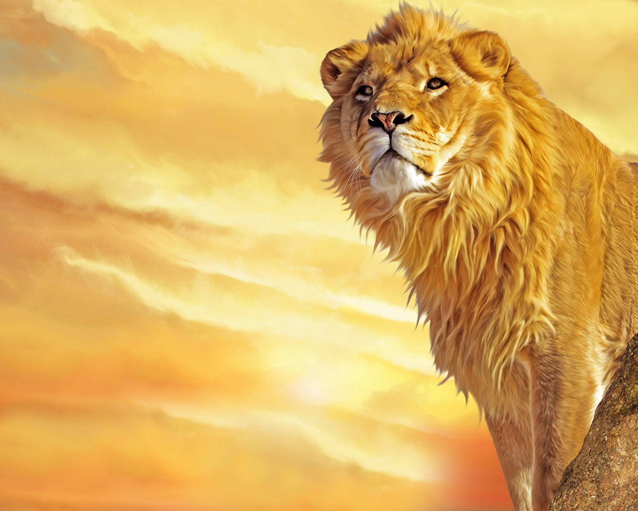 http://4.bp.blogspot.com/-T4qT__OzOvY/Ty-bUBvi7MI/AAAAAAAAEi0/We2CxVJAplw/s1600/lion-wallpapers-hd-lion-wallpaper-00+(2).jpg