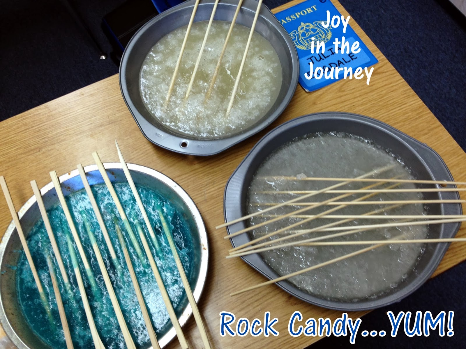 Five for Fr...aturday Exciting Earth Science! Joy in the Journey