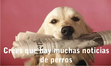 NOTICIAS PERROS