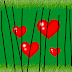 thumbnail thumbnail