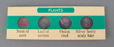 The American Girl Science Lab Set The Toy Box Philosopher