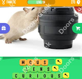 1 Pic 3 Words Level 273 answers cheats, solutions, walkthrough for 1 pic 3 words level 273
