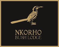 Nkorho Lodge