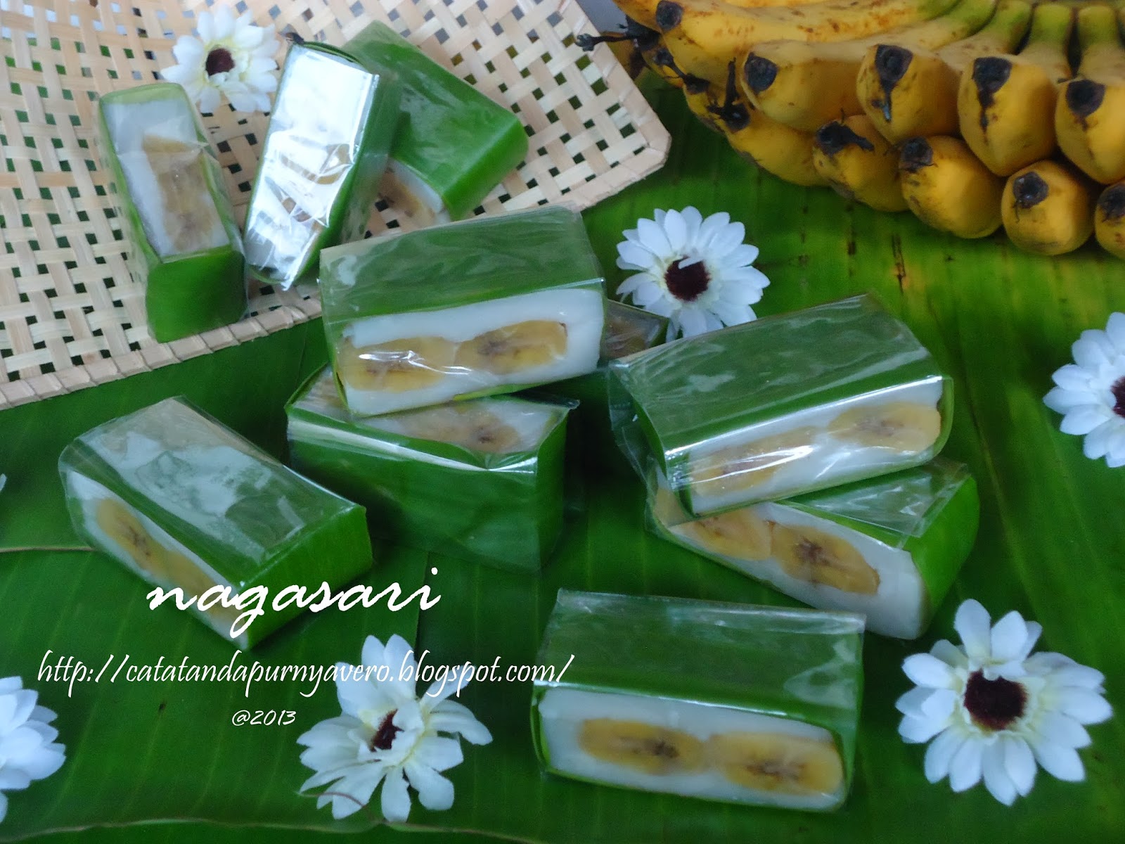 Catatan Dapur Vero Nagasari