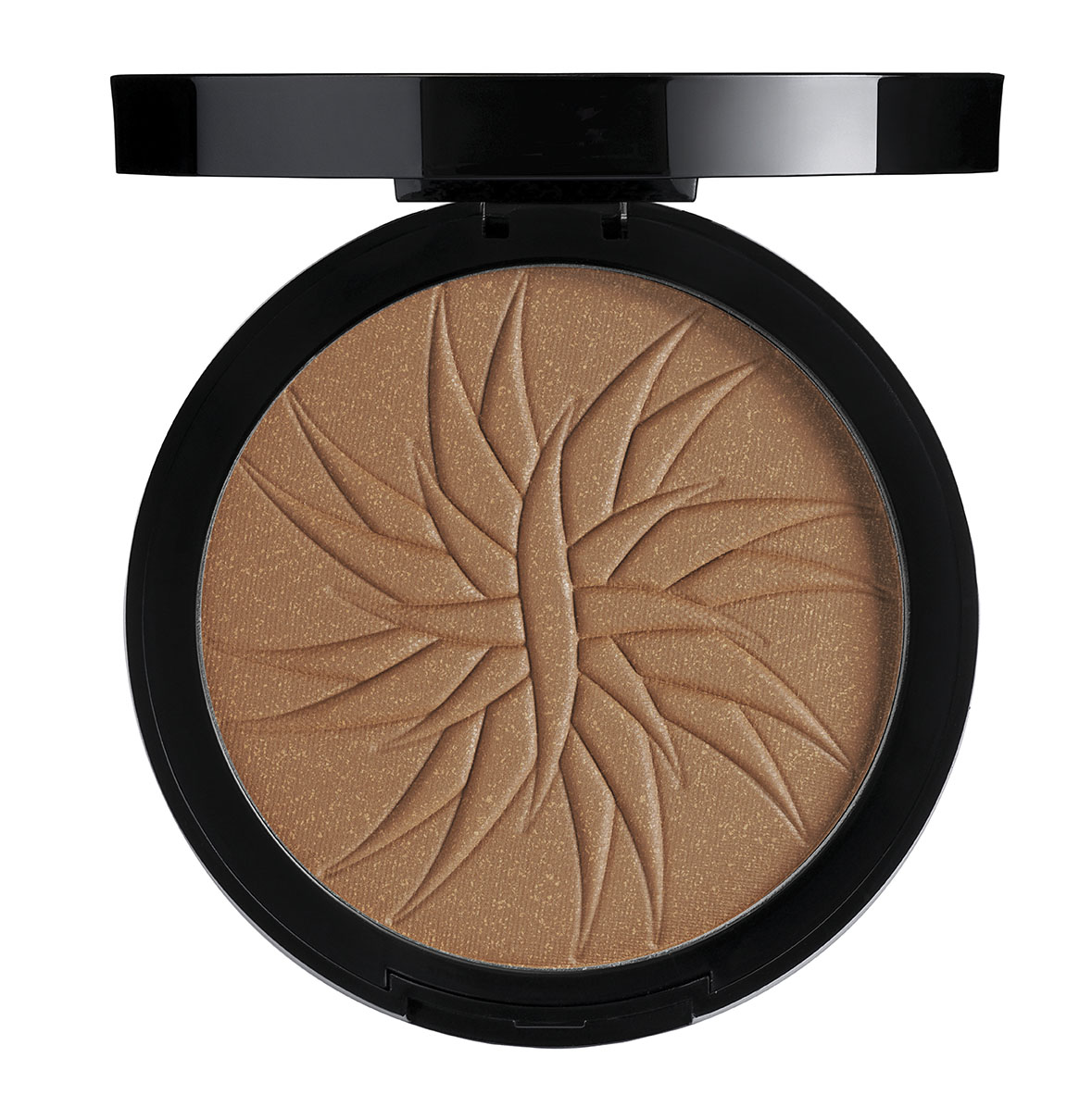 sephora Bronzing Powder sephora bronzer