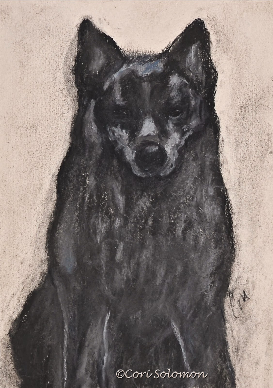 Art Helping Animals Black Dog Art By Cori Solomon