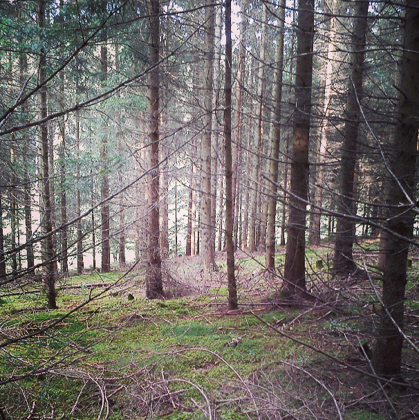 Tolle Sommer Bastelideen Fur Kinder So Geht S Apfelbackchen