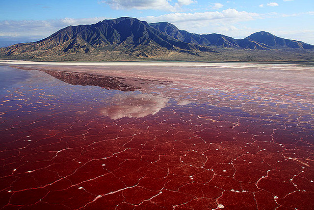 lake natron hotels