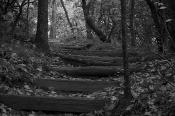 Mt. Pisgah Steps