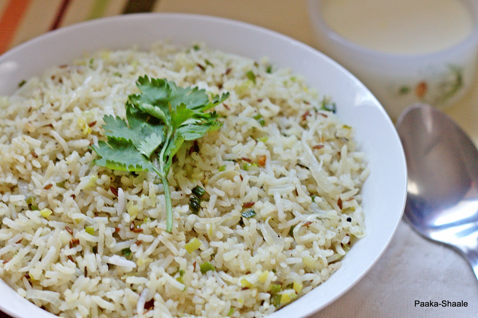 PaakaShaale Spring onion fried rice