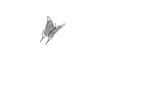 Resultado de imagem para gifs de borboletas voando tumblr