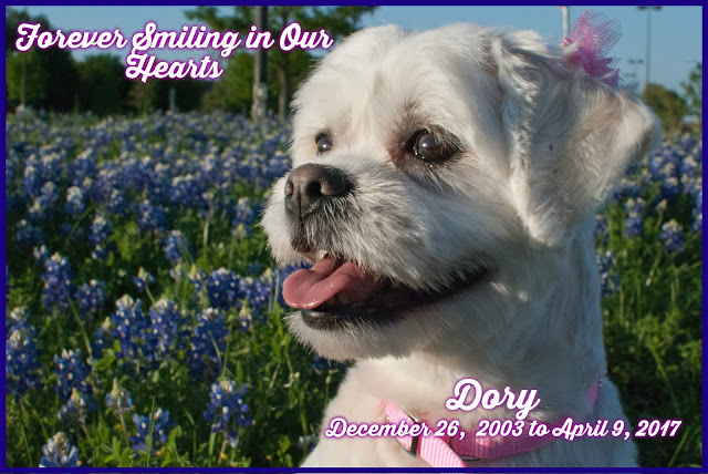 Dory - Forever in our Hearts
