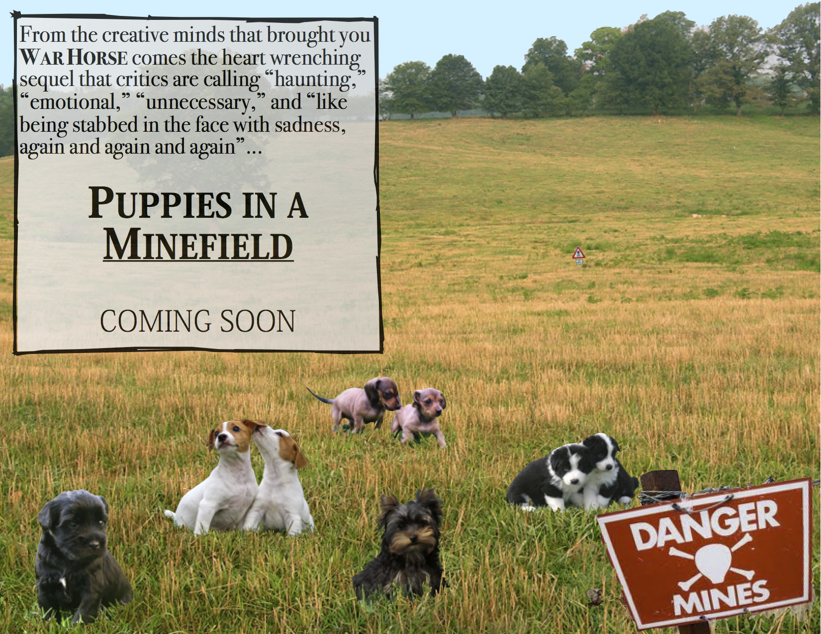 puppies+in+a+minefield.png