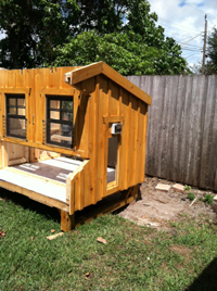 Chicken Coop automatic door pre-installed
