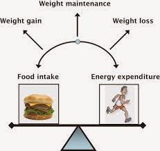Calories and Energy Balance