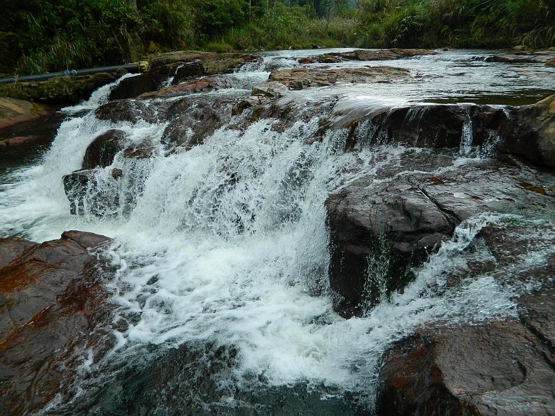 Image result for thac Dasar