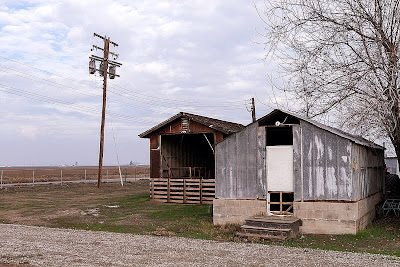 The Grapes of Wrath John Steinbeck