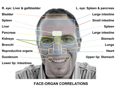 Face Organs