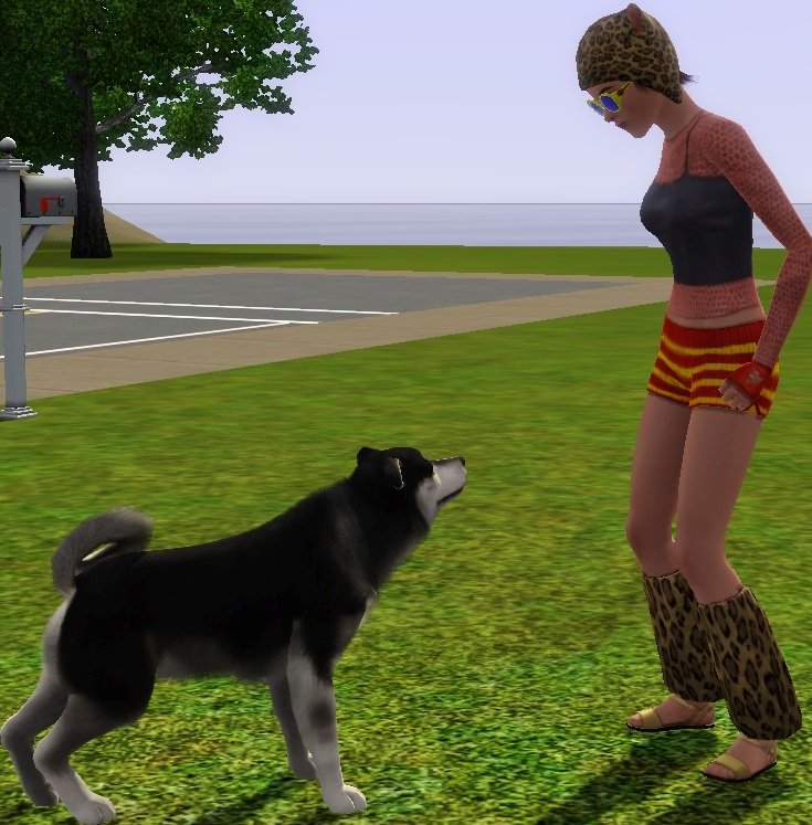Sims Pet Stories Hair S