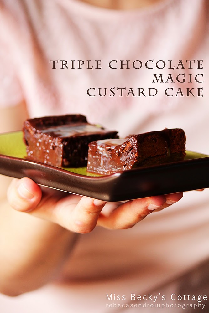 Triple Chocolate Magic Custard Cake