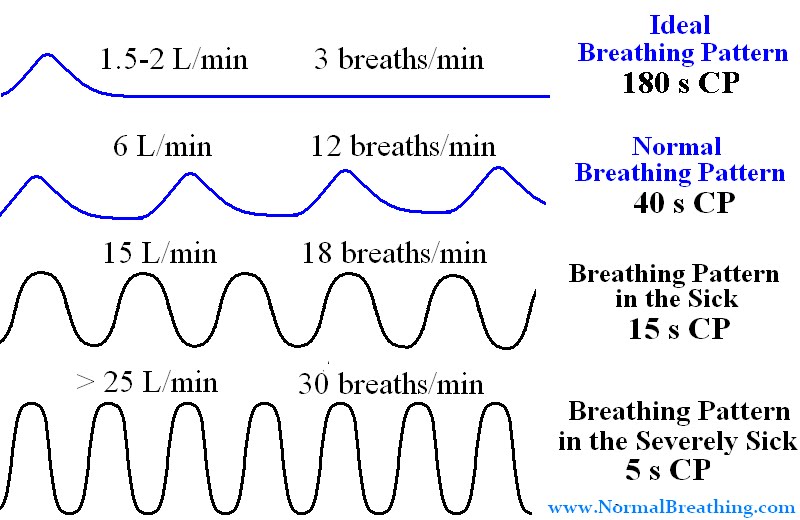 types of breathing patterns