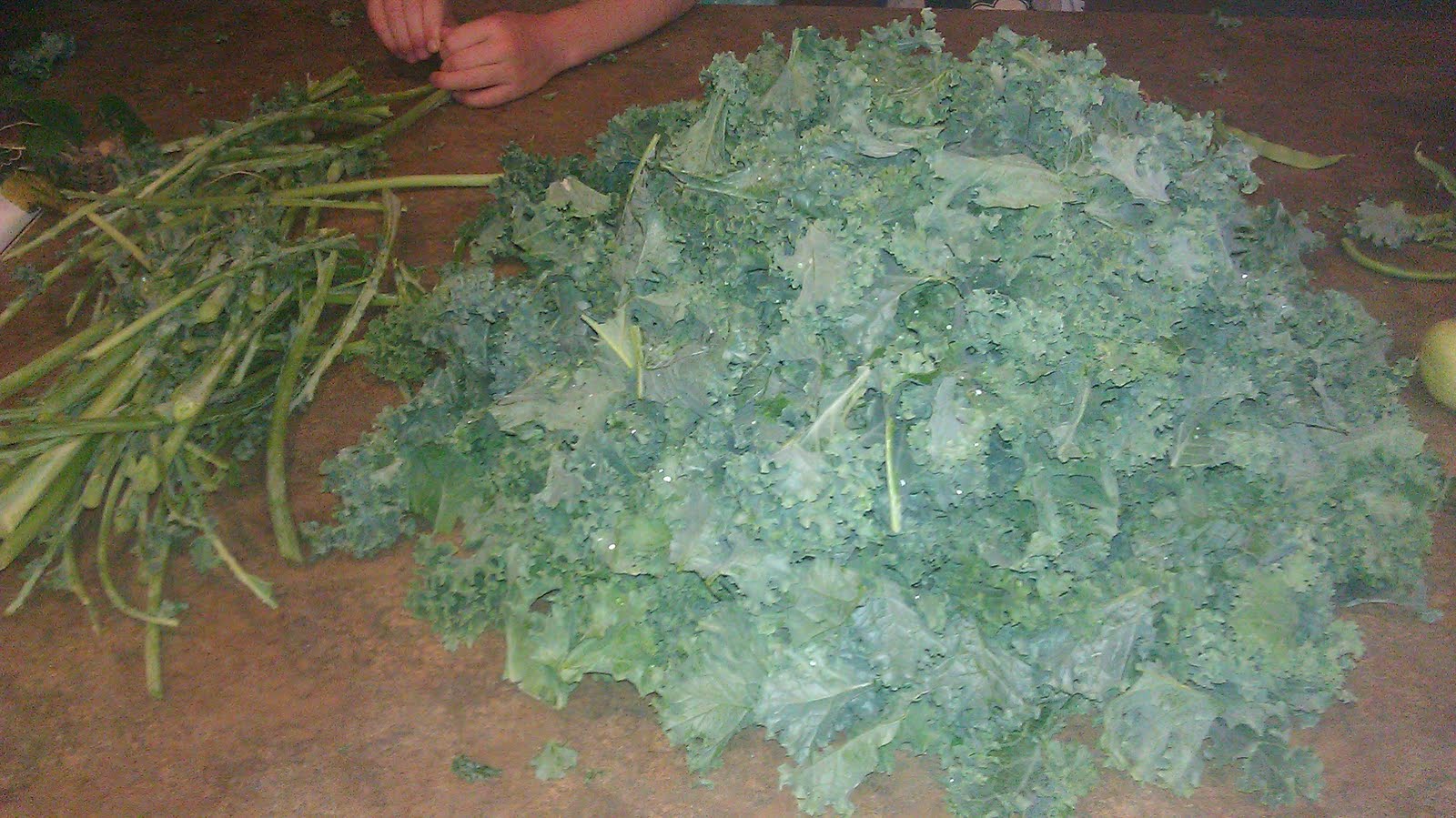 Preparing & Freezing Kale