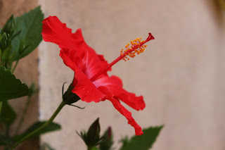 படம்