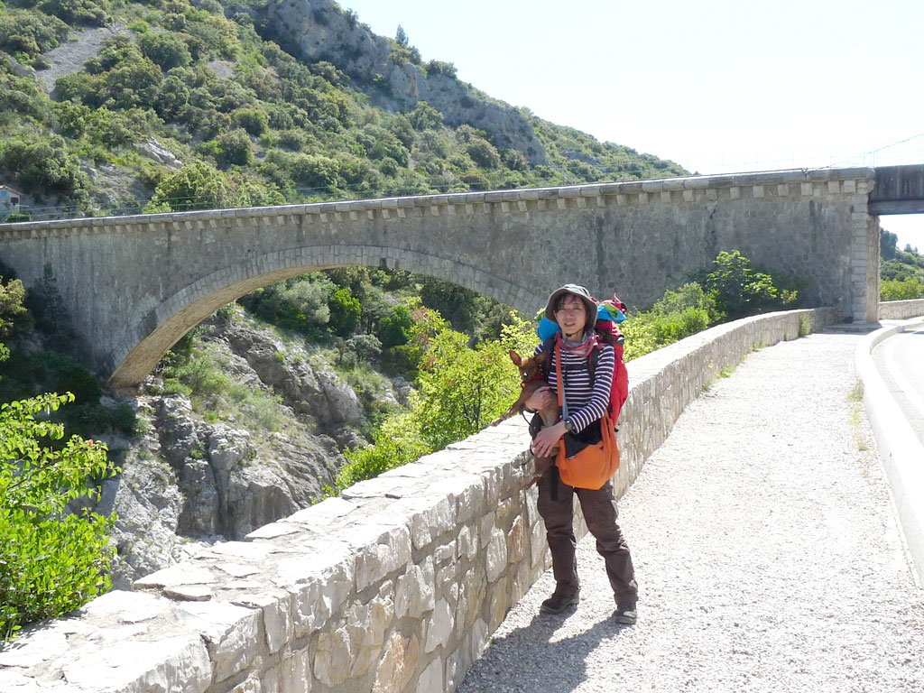 サン=ギエム=ル=デゼール - サン=ジャン=ド=フォ ポン・デュ・ディアブル Saint-Guilhem-le-Désert - Saint-Jean-de-Fos