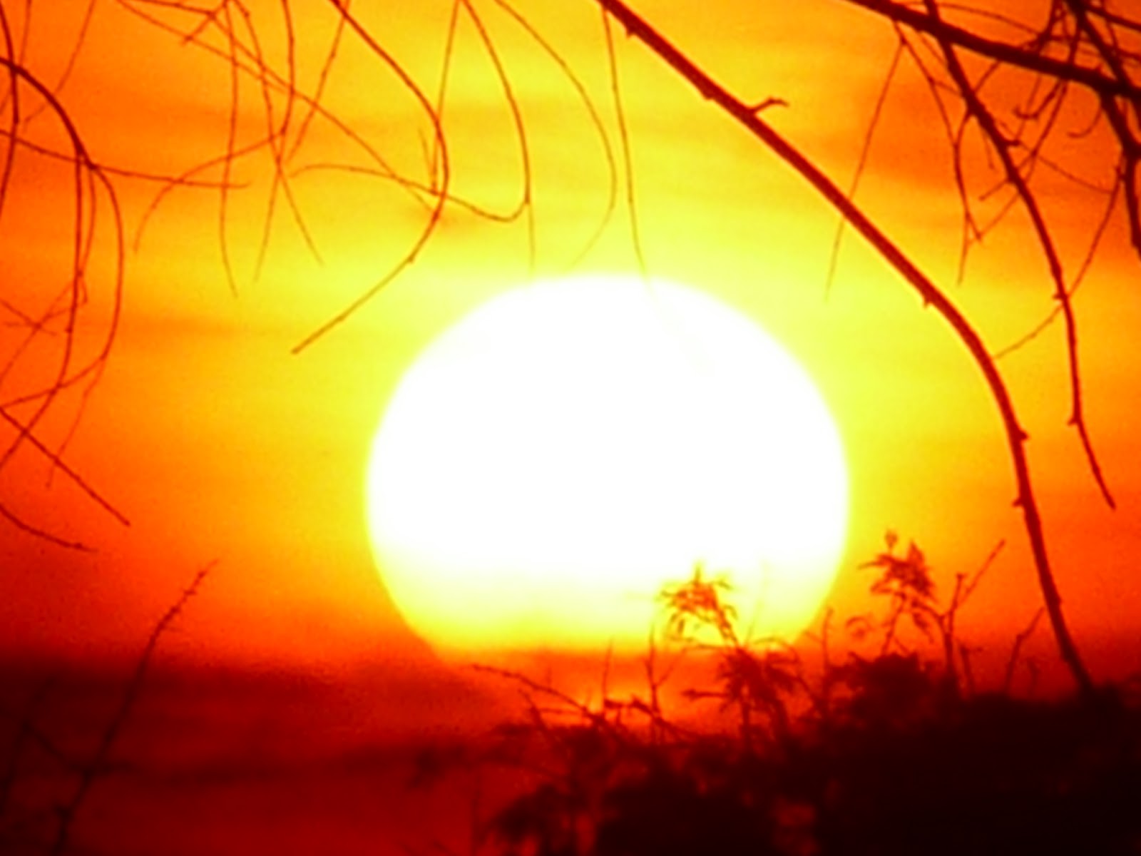 Sin tiempo: Onda encantada del Sol | Que el eterno Sol te ilumine