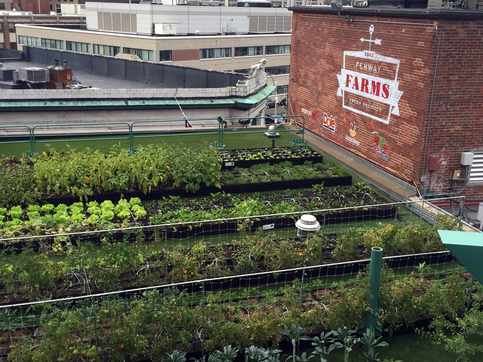 Rosemary's Sampler Fenway Park, Boston Rooftop Garden