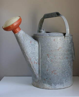 Something to be Found: Aluminum Watering Can