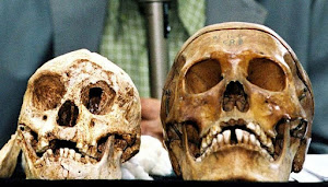 Indonesia's 'hobbits' disappeared earlier than thought: study