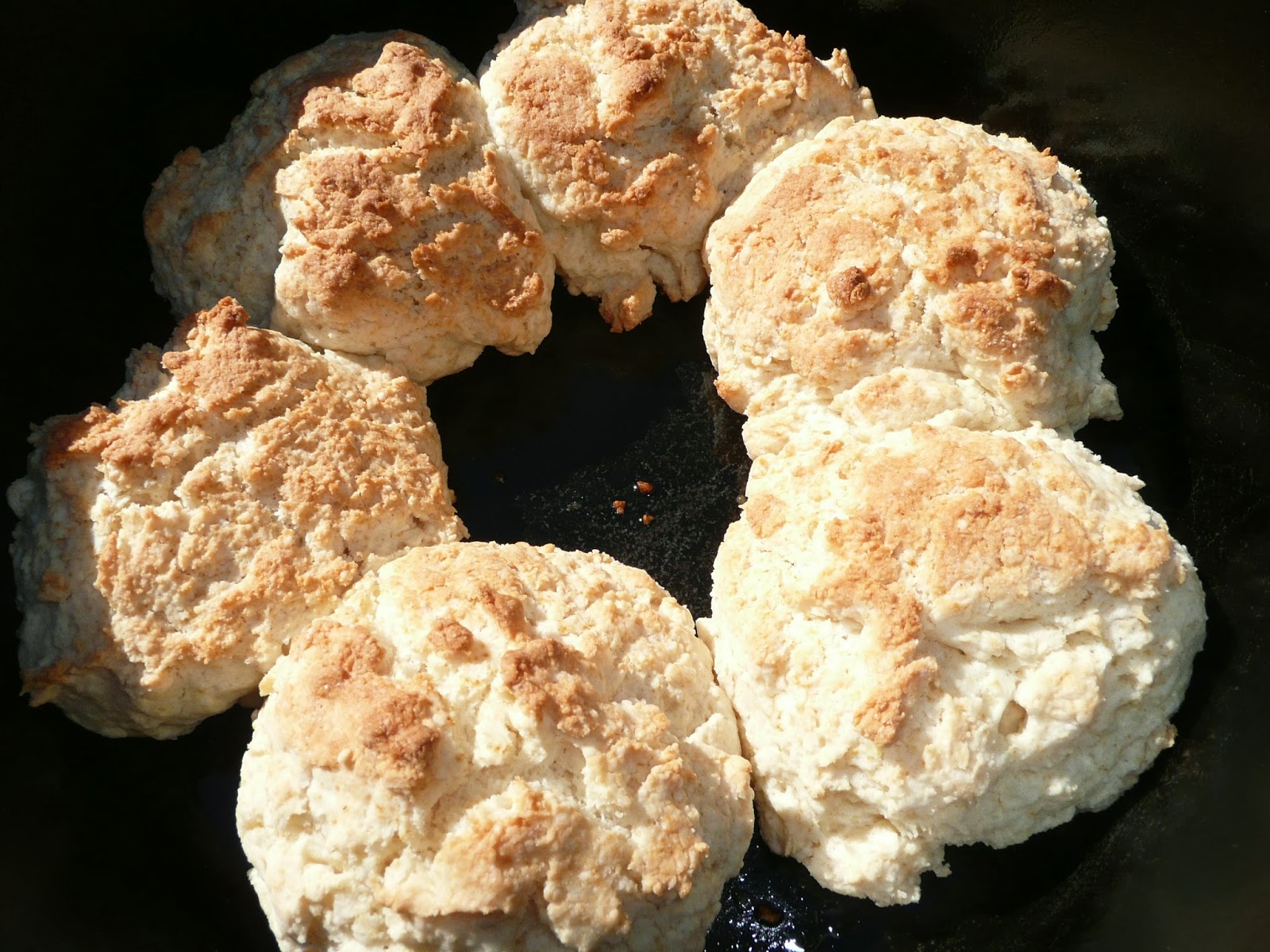 Everyday Dutch Oven Classic Strawberry Shortcakes