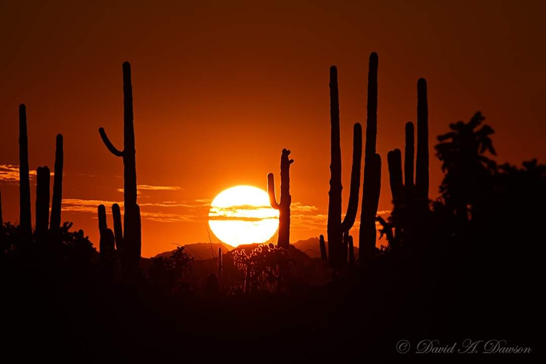 Arizona Sunset