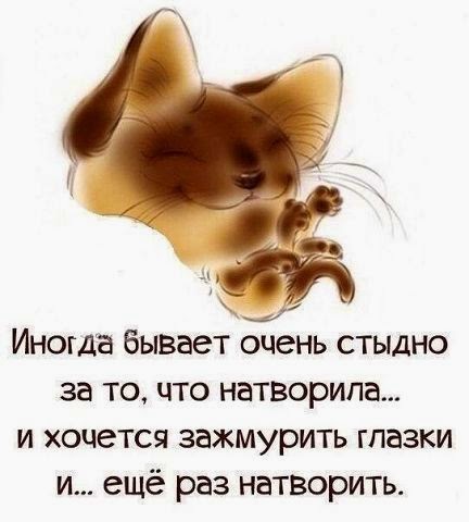 Статусы мне так стыдно Статусы мне так стыдно