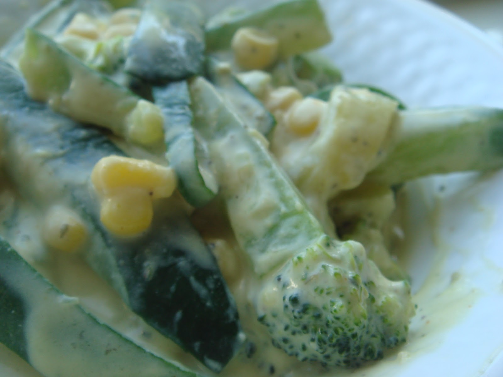 Eat Yourself Healthy & Happy Crock Pot Light Alfredo Sauce