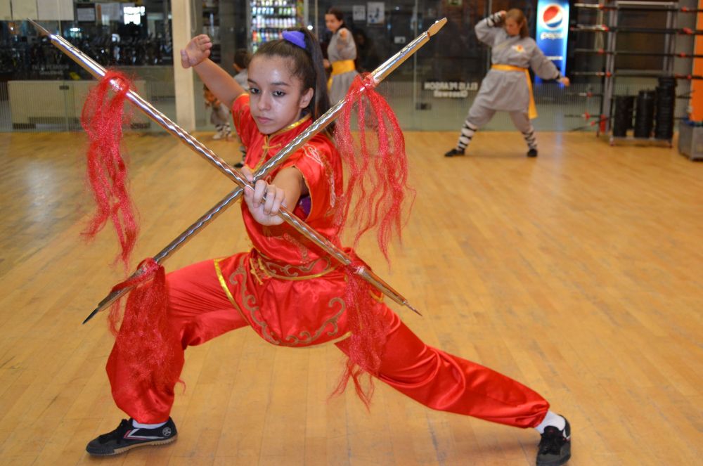 Cursos Kung-Fu Arte Marcial Chino, Maestro Senna - Información: tlf 626 992 139