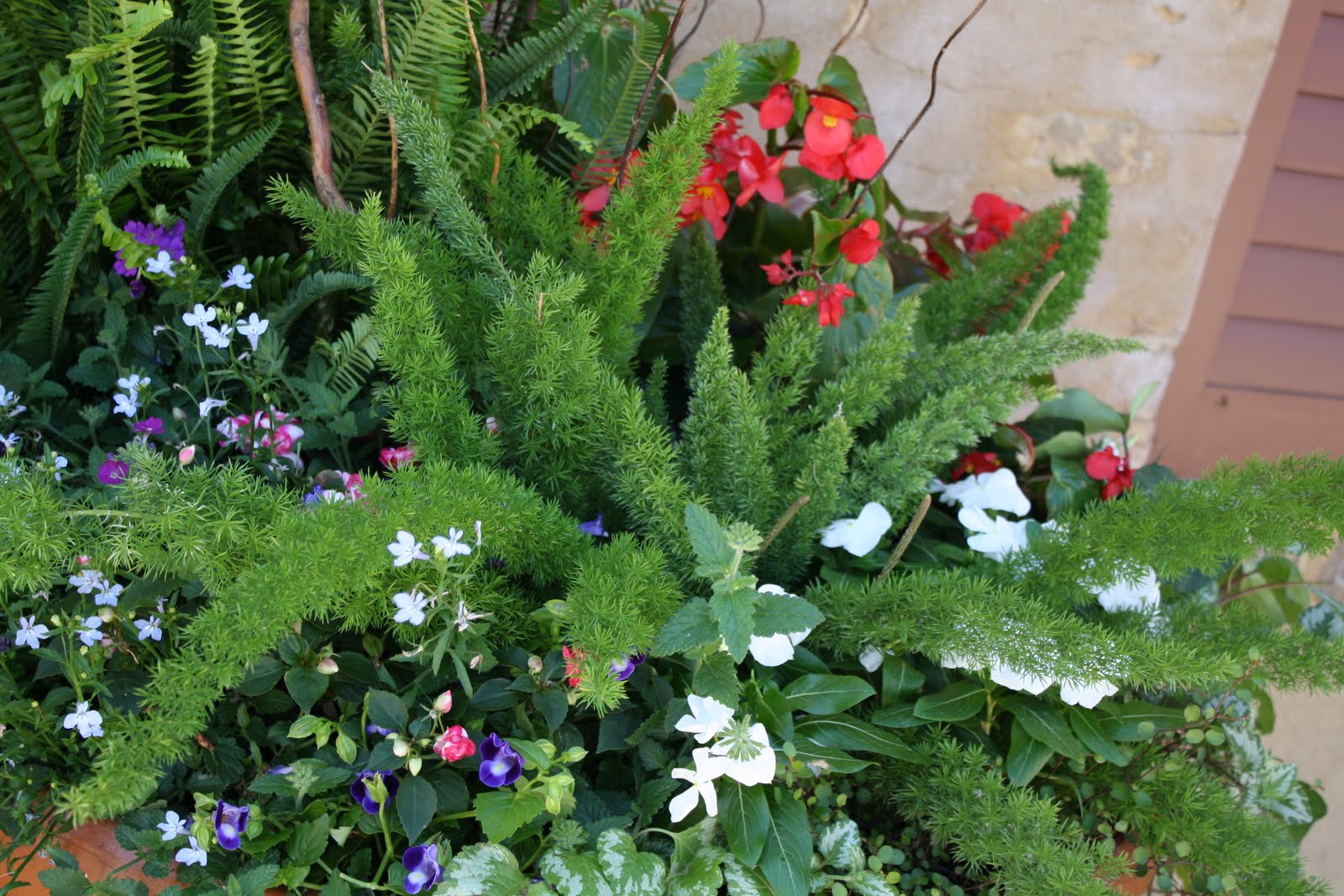 The PURE Gardener, Inc. Mixed Flower Containers Planters