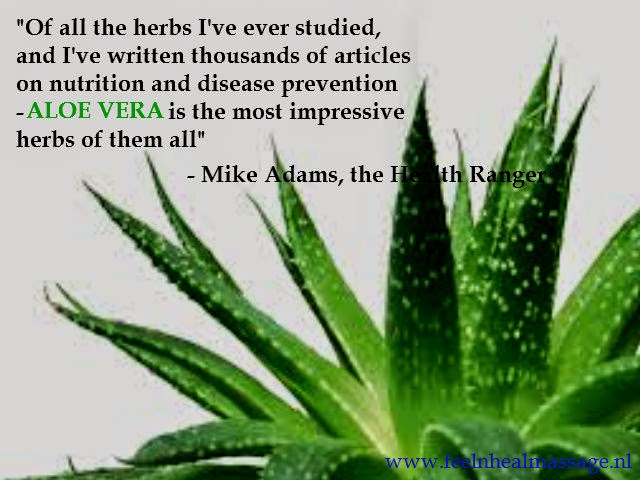 Watch 7 Amazing Benefits And Uses For Aloe Vera video Watch 7 Amazing Benefits And Uses For Aloe Vera video
