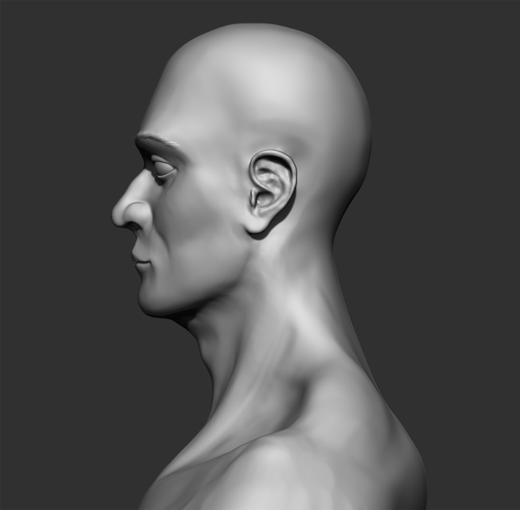 Graphyx Medley Zbrush Head Sculpts and Form Study