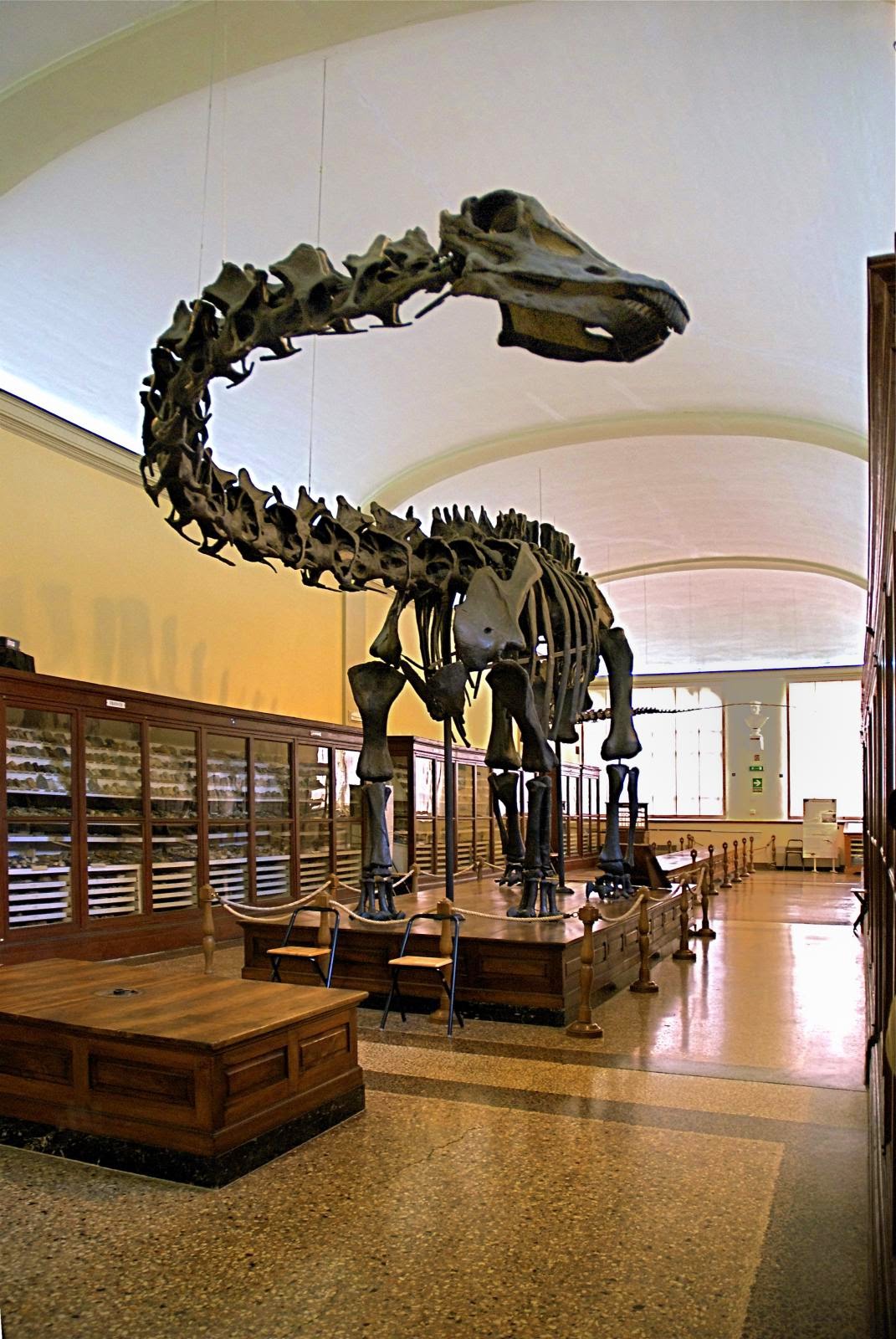 Bologna per bimbi 018 Newsblog Laboratori sui dinosauri, ecco i