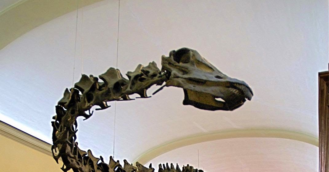 Bologna per bimbi Laboratori sui dinosauri, ecco i "Laborosauri" al