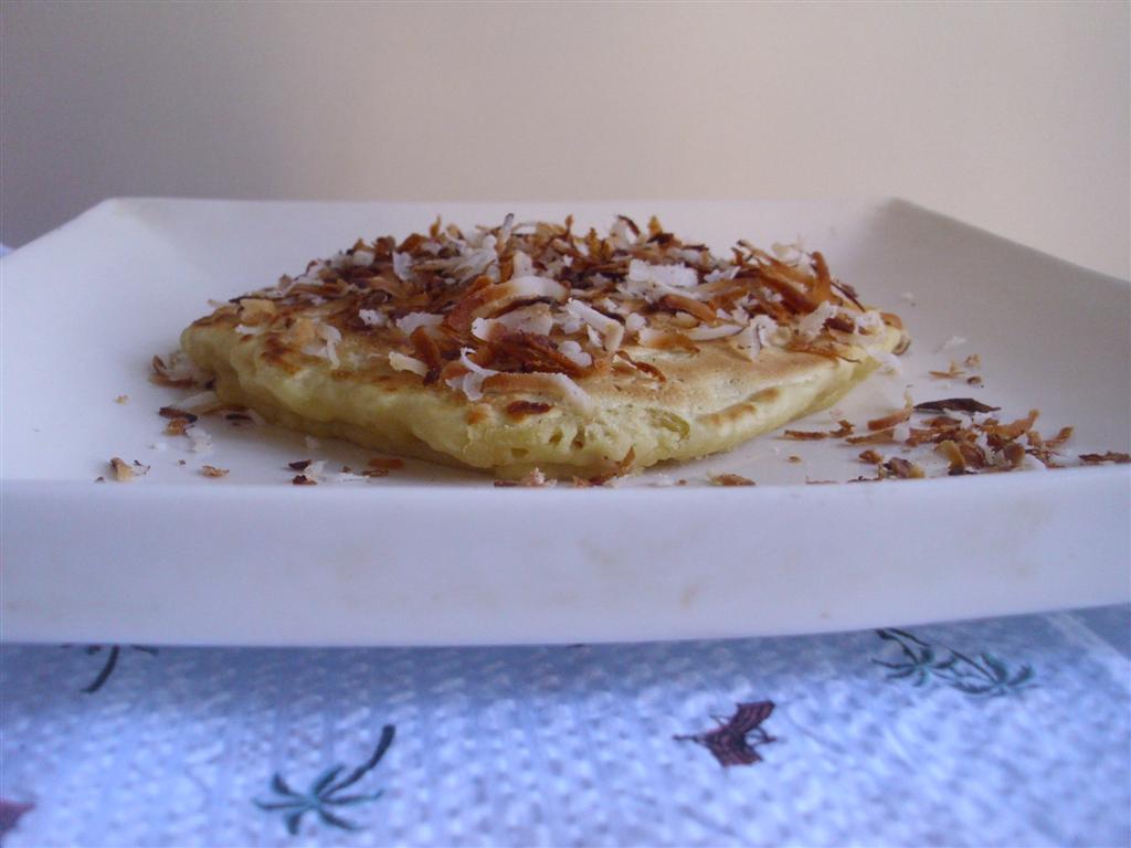 The DoItYourself Mom DIY Fresh Coconut Pancakes