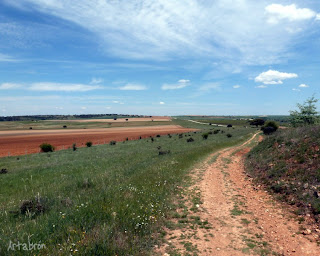 Cañada Real a San Pedro de Rozados